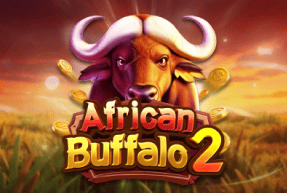 africanbuffalo2