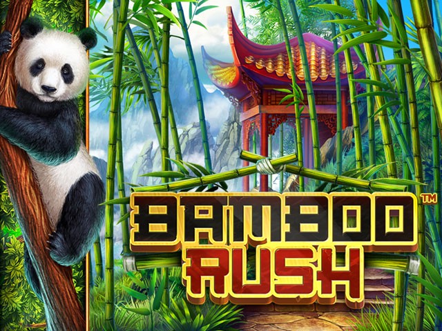 bamboorush