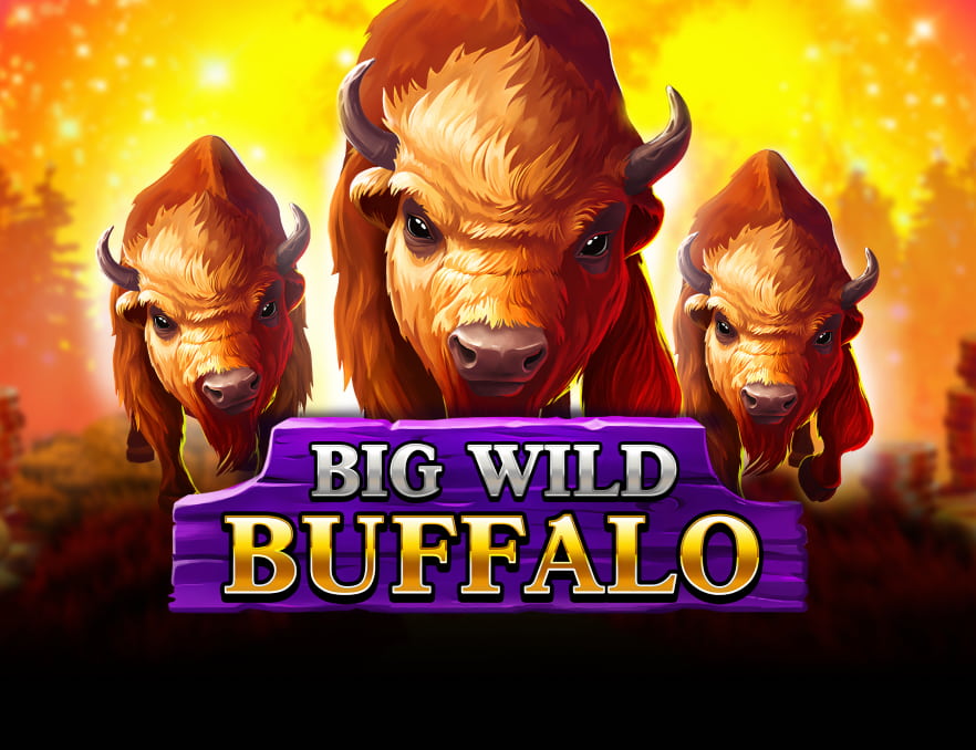 bigwildbuffalo