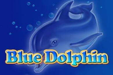 bluedolphin