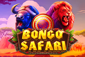 bongosafari