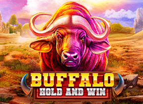 buffaloholdandwin