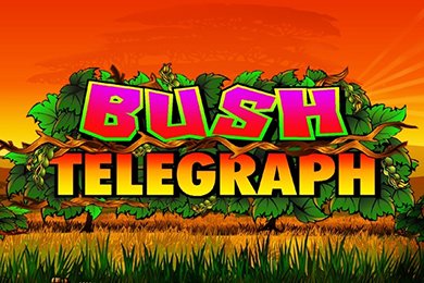 bushtelegraph