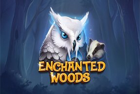 enchantedwoods