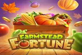 farmsteadfortune
