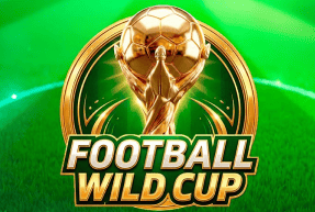 footballwildcup