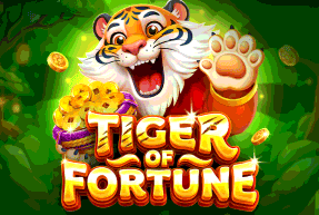 tigeroffortune