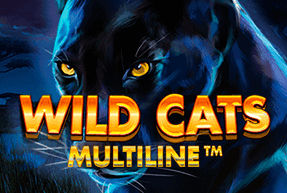 wildcatsmultiline