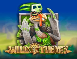 wildturkey